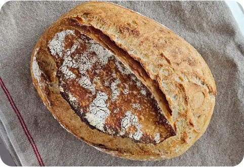 Introduction to bread