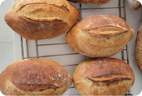 Sourdough professional