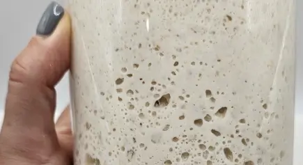 Sourdough Bread